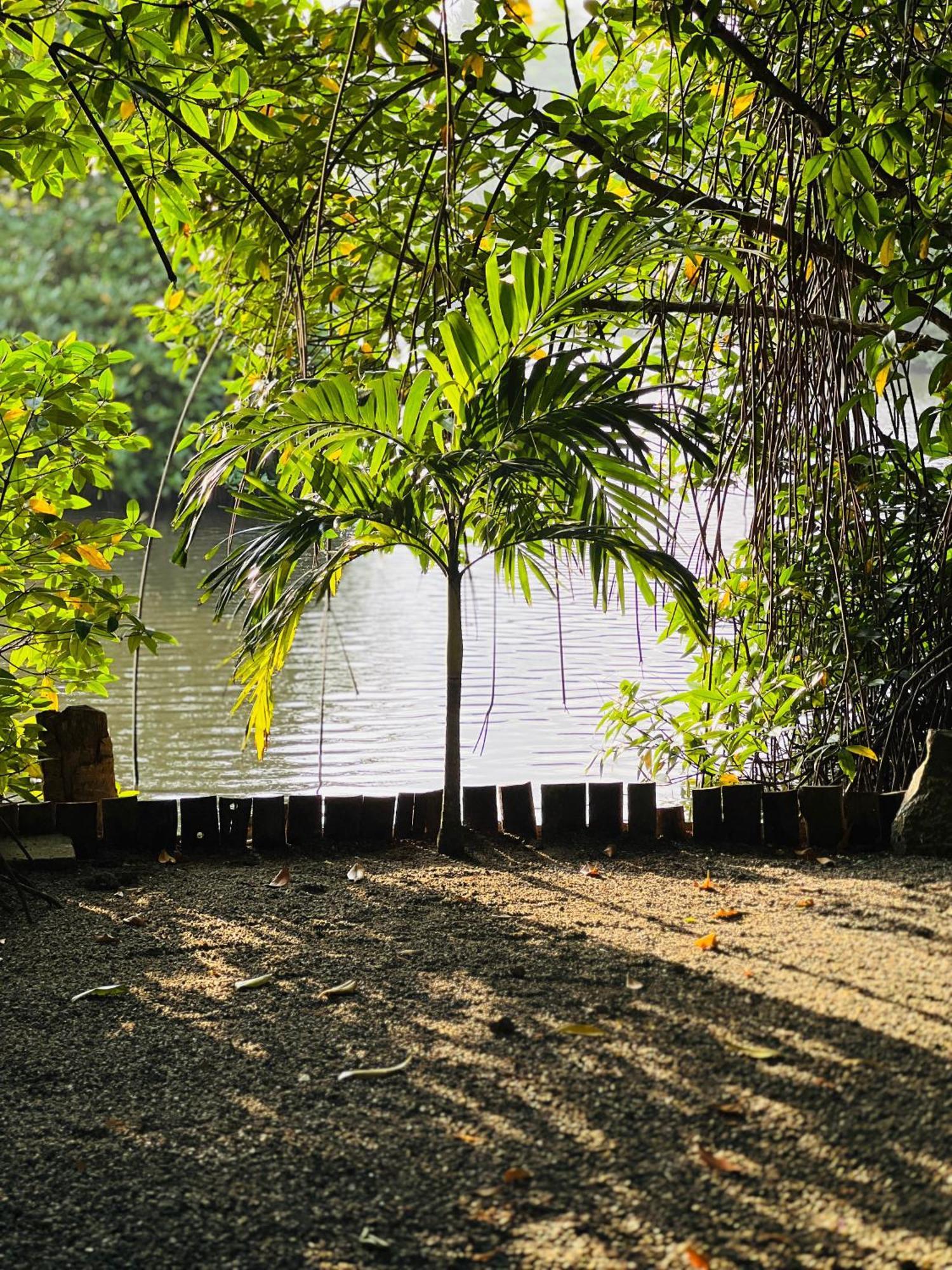 Water'S Edge Villa Ahangama Exterior photo